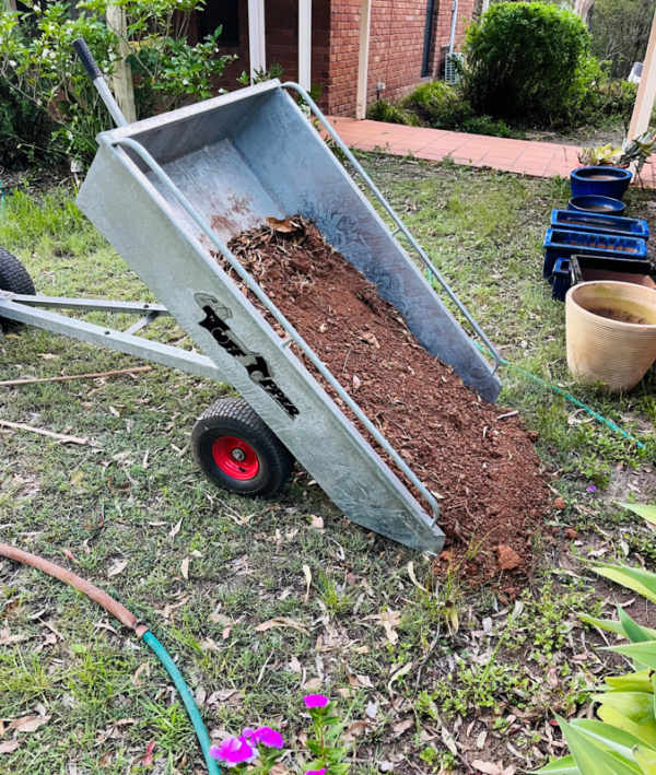 Garden Gladiator Tipping Lawn mower Trailer